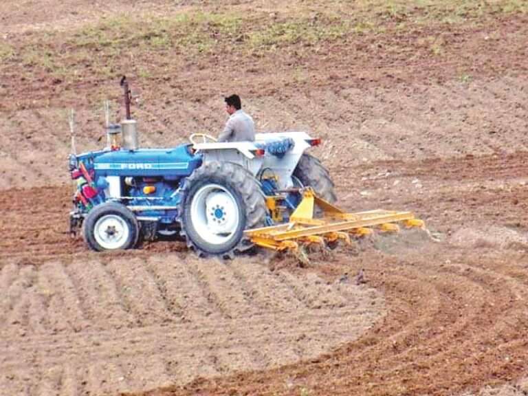 FAO Champions Eco-Friendly and Nutritious Farming Practices to Address Pakistan’s Food Security