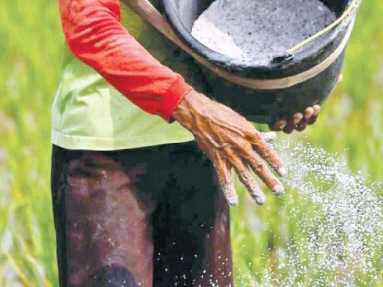 Government Seeks Hefty Cut in DAP Prices to Provide Relief to Farmers