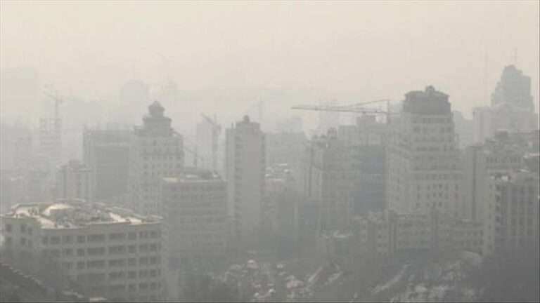 Punjab Government Closes Schools, Colleges Until November 17 Due to Smog Crisis