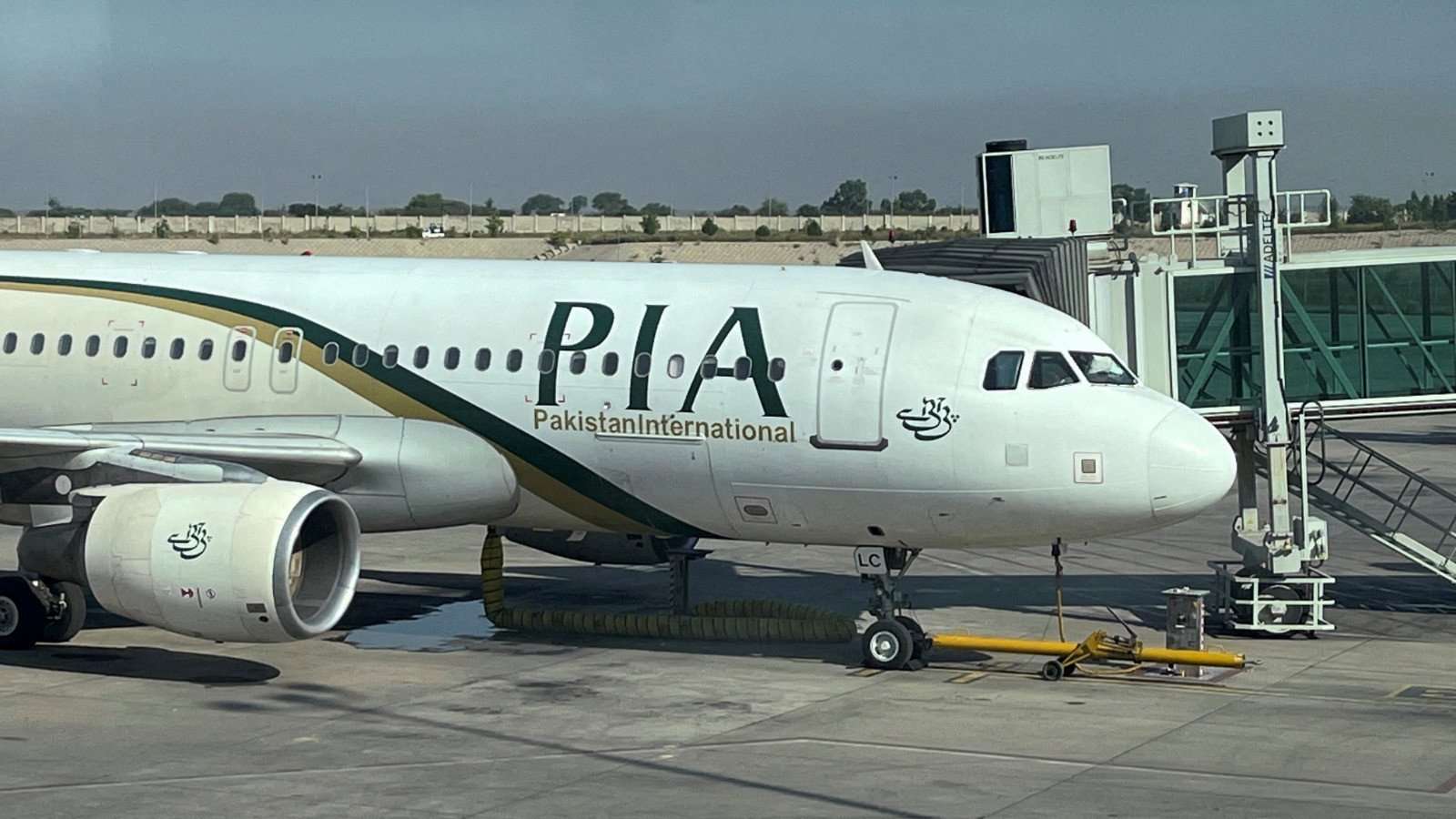 Overseas Pakistani Entity Offers Over Rs1 Trillion for PIA Acquisition