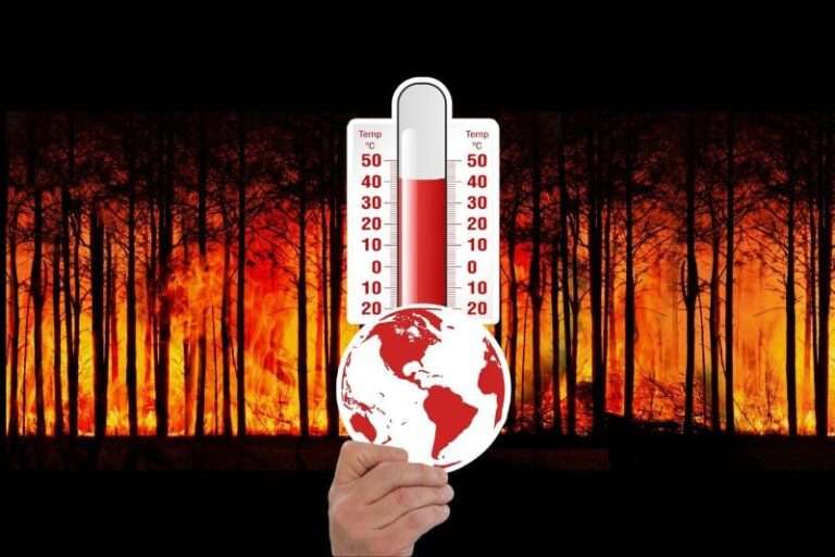 China Takes Action to Tackle Climate Change: A Focus on Climate Finance