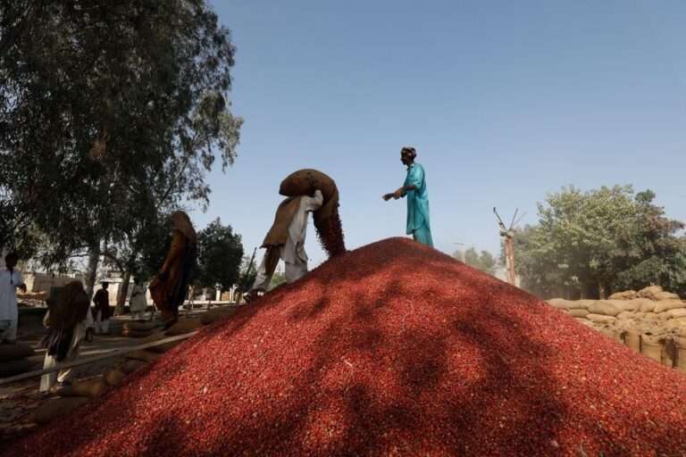 Pakistan  Ratify Forced Labour Convention to Strengthen Trade Relations