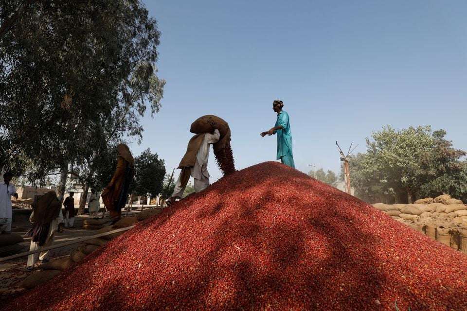 Pakistan  Ratify Forced Labour Convention to Strengthen Trade Relations
