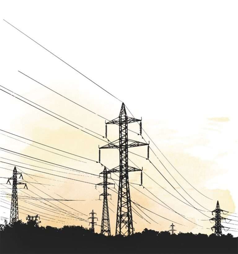 Asset Transfer and Audit Settlement for DISCOs in Pakistan