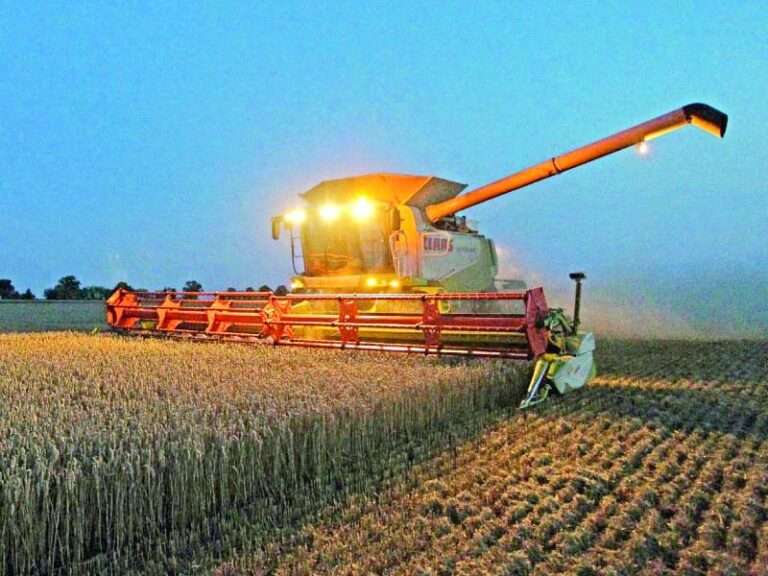 Declining Crop Yields Raise Alarm: Farmers Demand Government Action