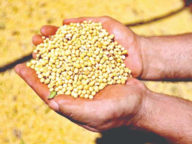 GMO Soybean Revitalizes Pakistan’s Feed Industry