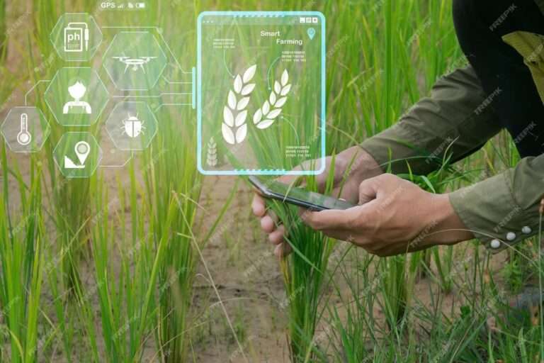 Prioritizing Agriculture, Technology, and Energy for Pakistan’s Sustainable Growth