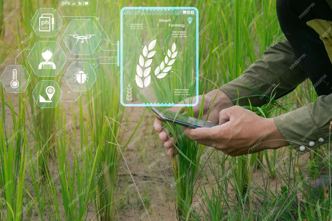 Prioritizing Agriculture, Technology, and Energy for Pakistan’s Sustainable Growth