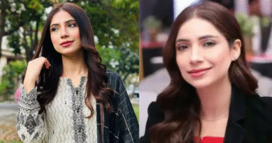 Sajal Malik – Rising Star or One-Hit Wonder?