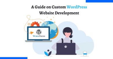 Website Development Services
